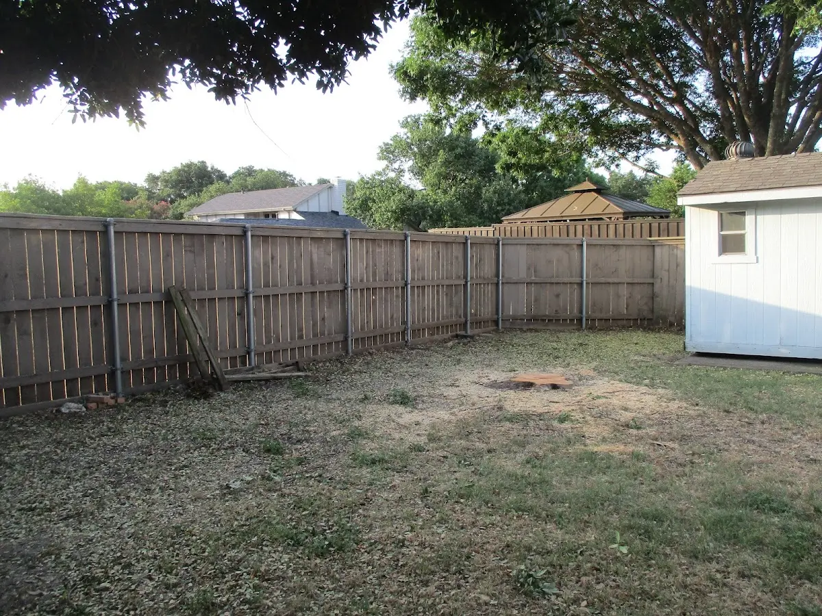 Cleared yard after professional tree removal in Bath
